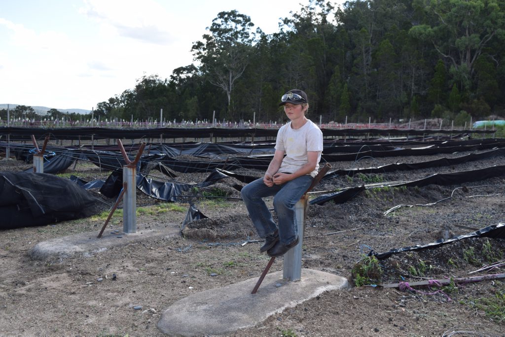 CLEAN-UP: Ty Norton has a long couple of days ahead helping his dad clean up the family flower farm after last weeks storm. 